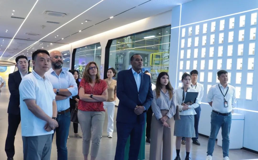 1743679573152333.jpg image003.jpg